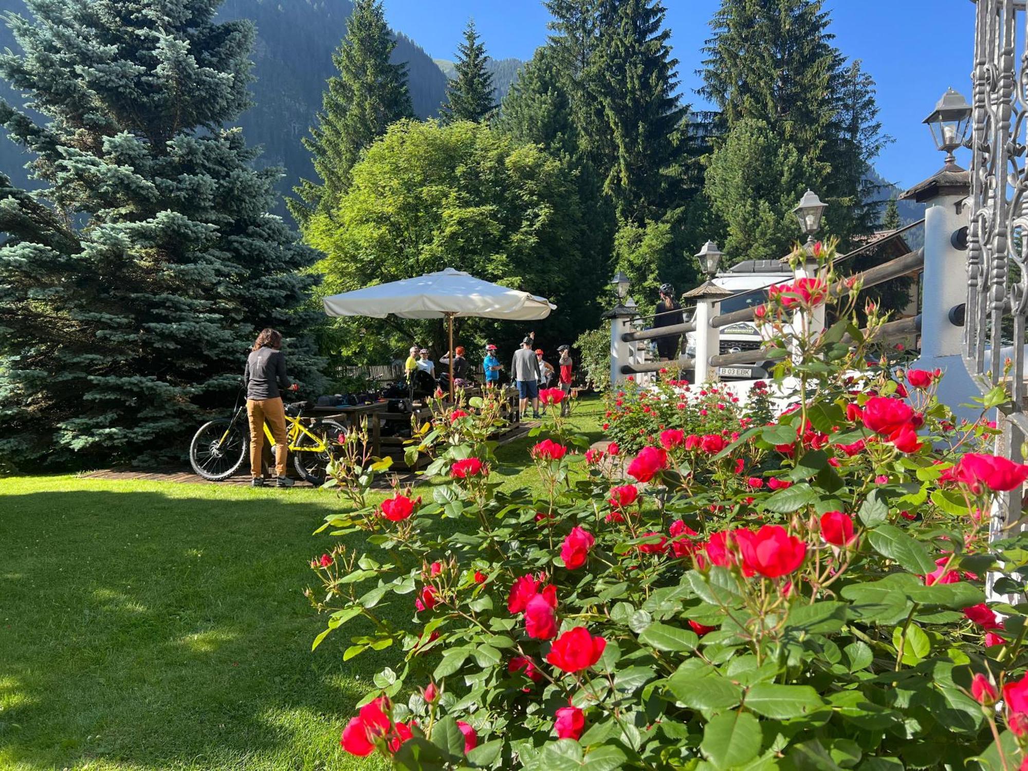 B&B Garni Villa Campitello Campitello di Fassa Kültér fotó